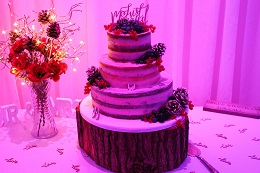 winter naked wedding cake